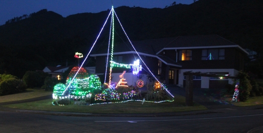 Huia Christmas Lights